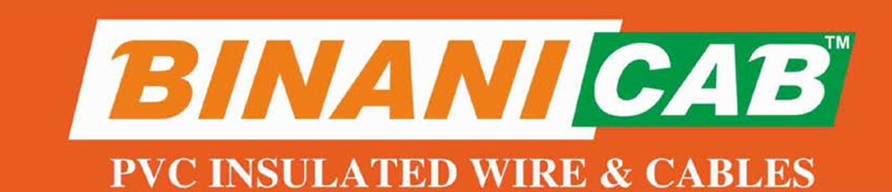 BINANICAB Logo